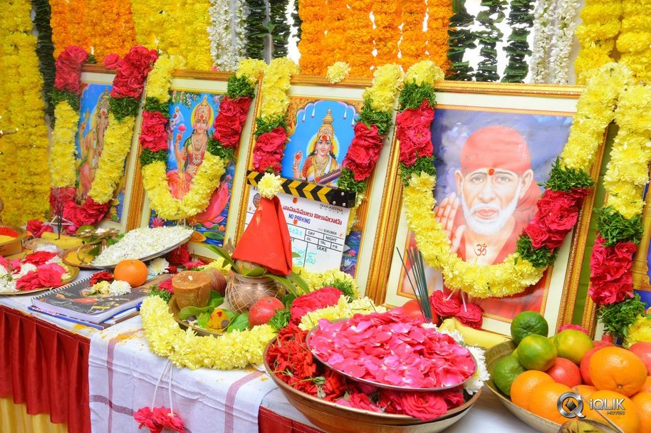 Ichata-Vaahanamulu-Nilupa-Raadhu-Movie-Opening